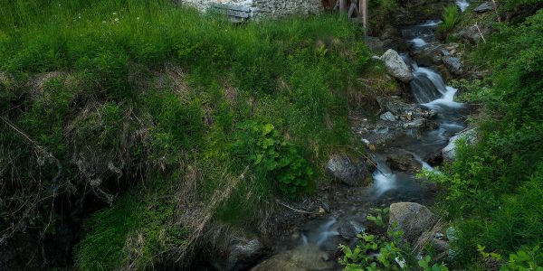 Ruud Engels | Photography | Watermolentje Olang