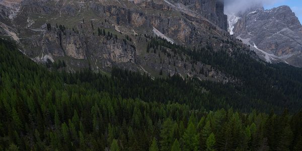 Ruud Engels | Photography | Verticale Panorama Lago Bai de Dones