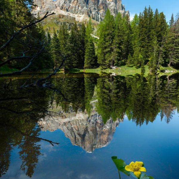 Ruud Engels | Photography |