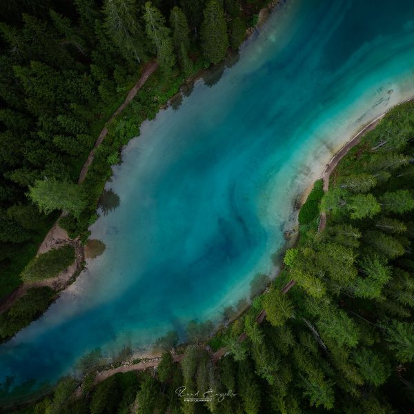 Ruud Engels | Photography | Lagos di Braies Bomen en Water Topdo