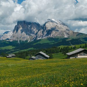 Ruud Engels | Photography | Alpe di Siusi Alpenweide