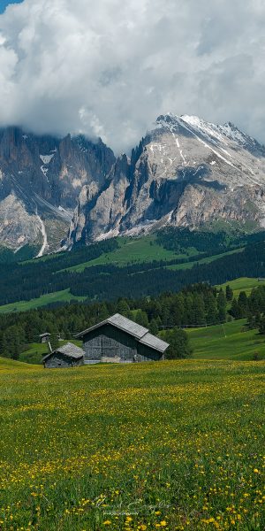 Ruud Engels | Photography | Alpe di Siusi Alpenweide