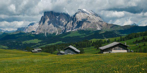Ruud Engels | Photography | Alpe di Siusi Alpenweide