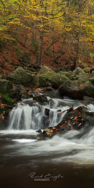 Ruud Engels | Photography | Herfst in La Hoëgne