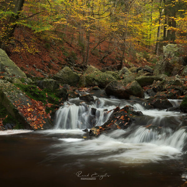 Ruud Engels | Photography | Herfst in La Hoëgne