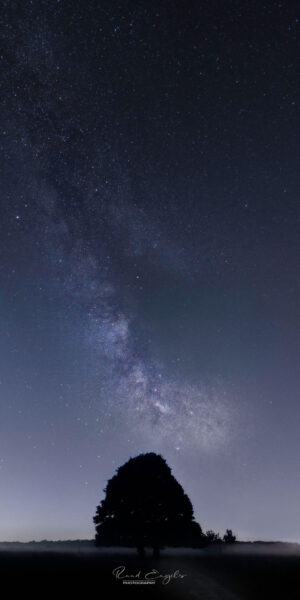 Ruud Engels | Photography | Melkweg boven de Kampina