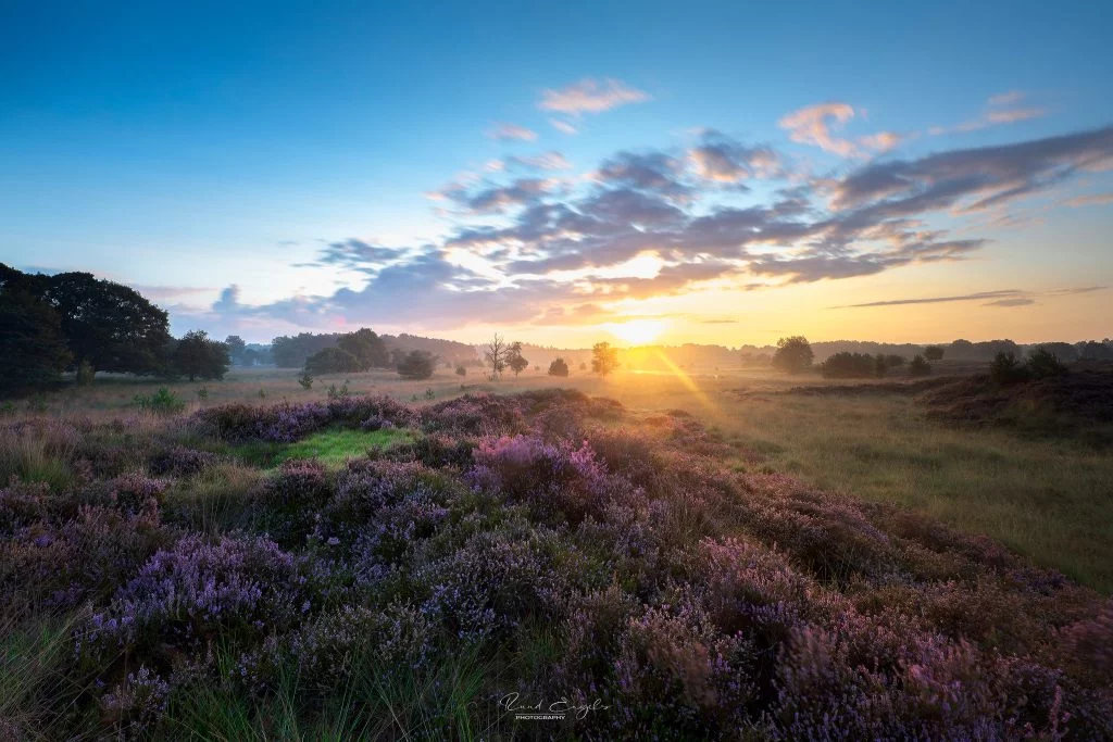 Ruud Engels - Photography - Zonsopkomst Kampina Heide