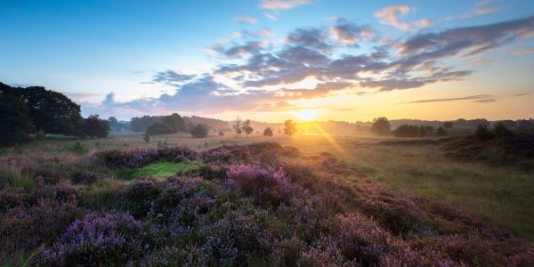 Ruud Engels - Photography - Zonsopkomst Kampina Heide