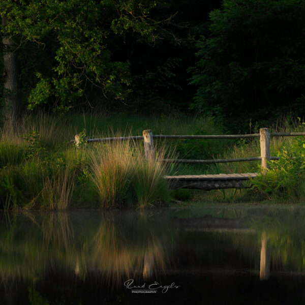 Ruud Engels | Photography | Bruggetje van Esscheven