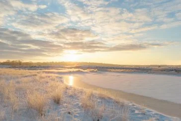 Gouden uurtje Kampina in sneeuwlandschap