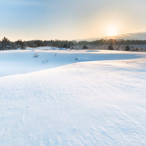 Zonsopkomst in sneeuwlandschap Kampina