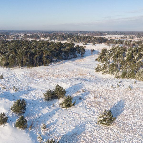 Kampina Snowworld Panorama