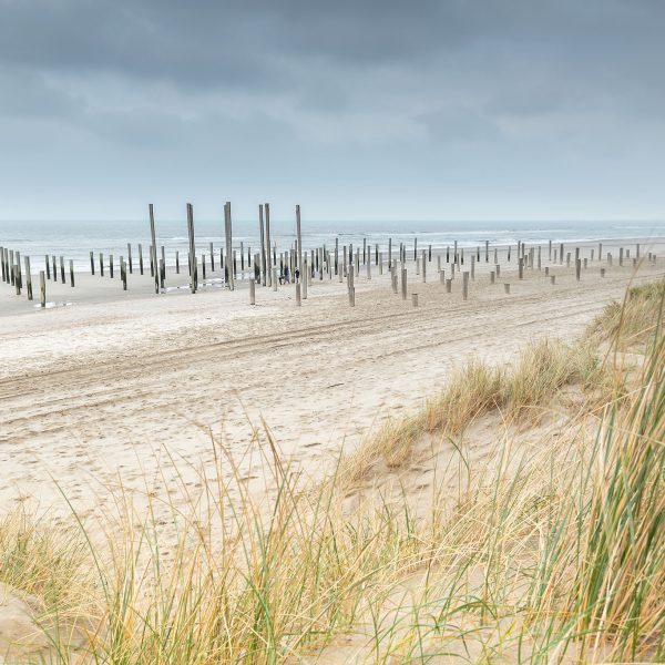 Palendorp Petten