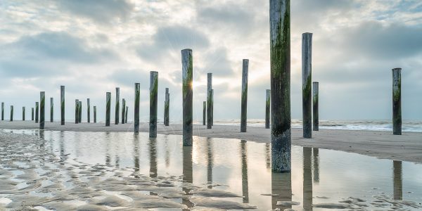 Palendorp Petten