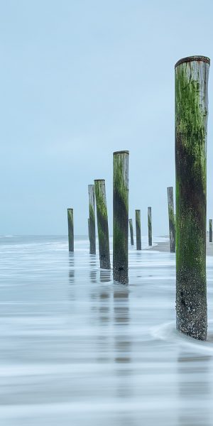 Palendorp Petten
