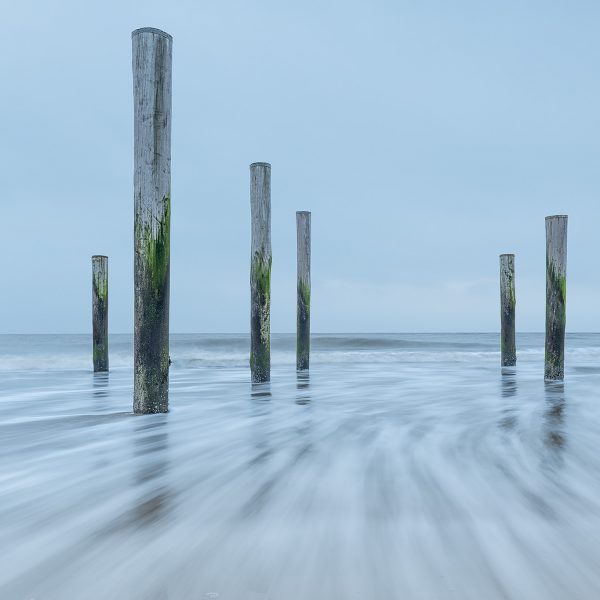 Palendorp Petten