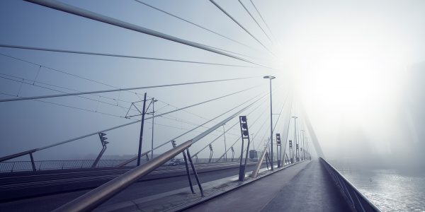 Ruud Engels | Photography | Erasmusbrug Rotterdam