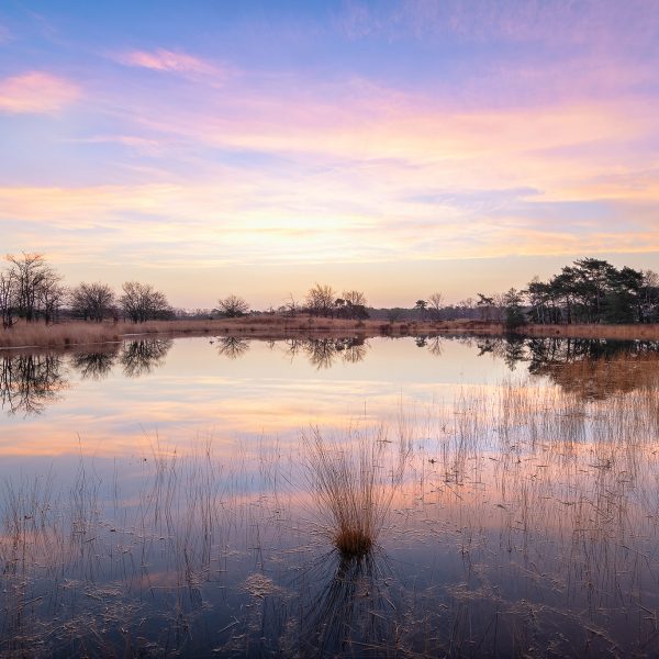 Ruud Engels | Photography | Malpie Vennen Valkenswaard