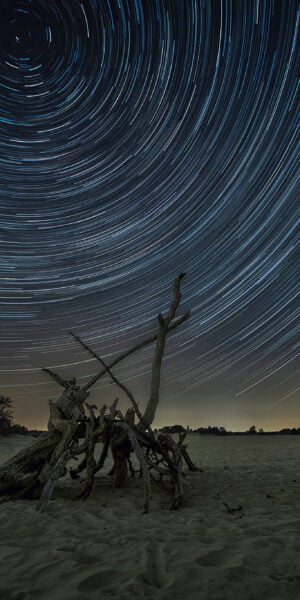 Ruud Engels | Photography | Startrails Loonse & Drunense Duinen
