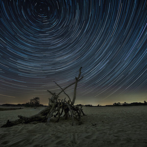 Ruud Engels | Photography | Startrails Loonse & Drunense Duinen