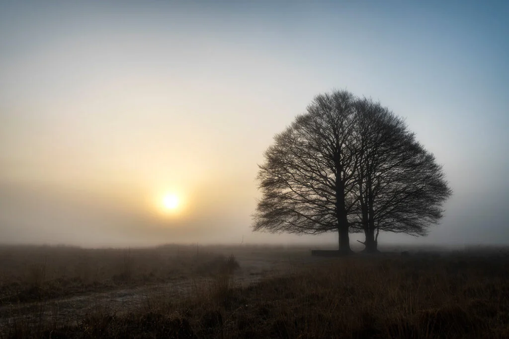 Ruud Engels | Photography | Kampina Minimalisme