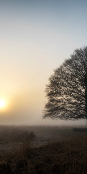 Ruud Engels | Photography | Kampina Minimalisme
