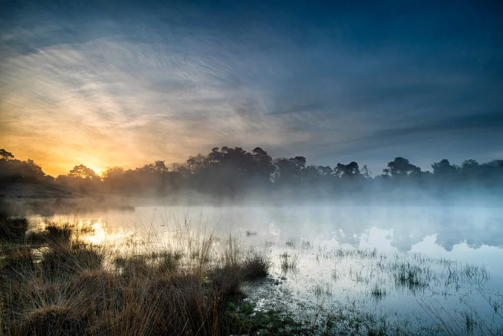 Ruud Engels | Photography | Kampina Mistige zonsopkomst - Lente Wandeling