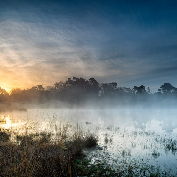 Ruud Engels | Photography | Kampina Mistige zonsopkomst - Lente Wandeling