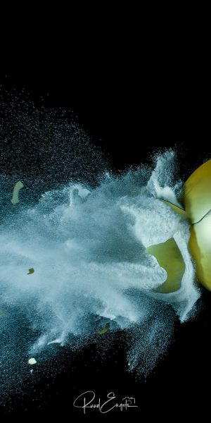 Ruud Engels | Photography | Highspeedfotografie