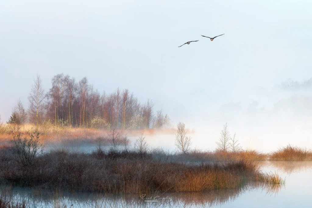 Ruud Engels | Photography | Lente Wandeling Groot Kolkven Mistige Zonsopkomst