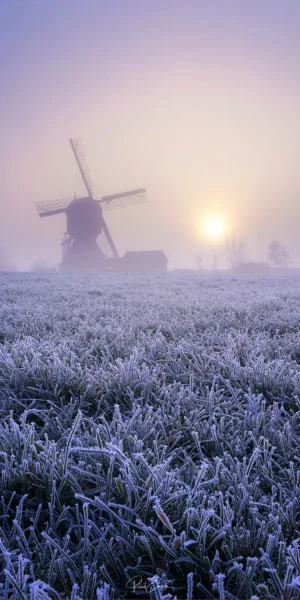 Ruud Engels | Photography | Streefkerk Molen Kleine Tiendweg