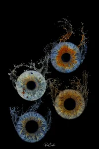 Ruud Engels | Photography | Waterdrops