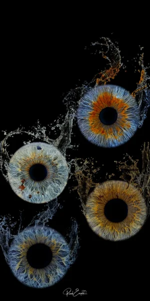 Ruud Engels | Photography | Waterdrops