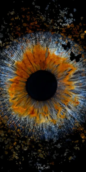 Ruud Engels | Photography | Butterfly