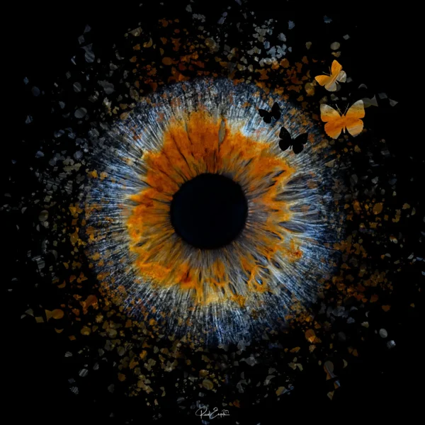 Ruud Engels | Photography | Butterfly