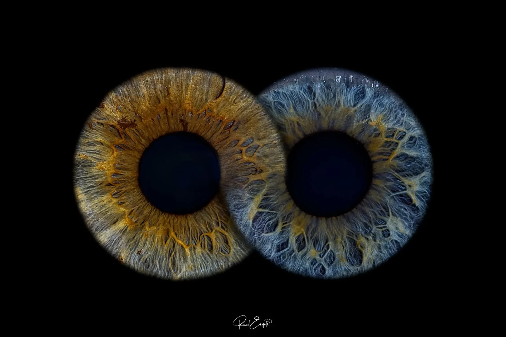 Ruud Engels | Photography | Infinity