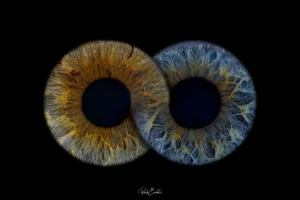 Ruud Engels | Photography | Infinity