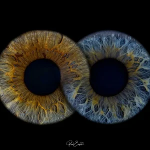 Ruud Engels | Photography | Infinity