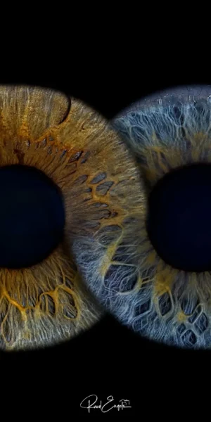 Ruud Engels | Photography | Infinity