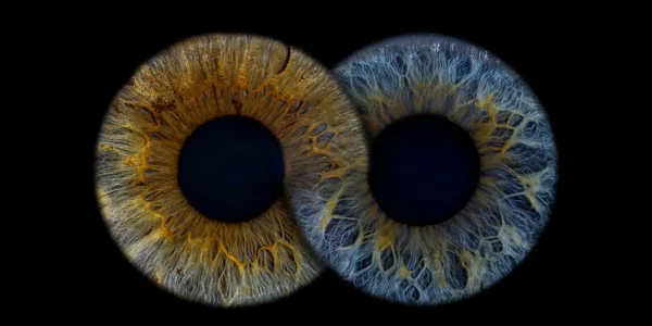 Ruud Engels | Photography | Infinity