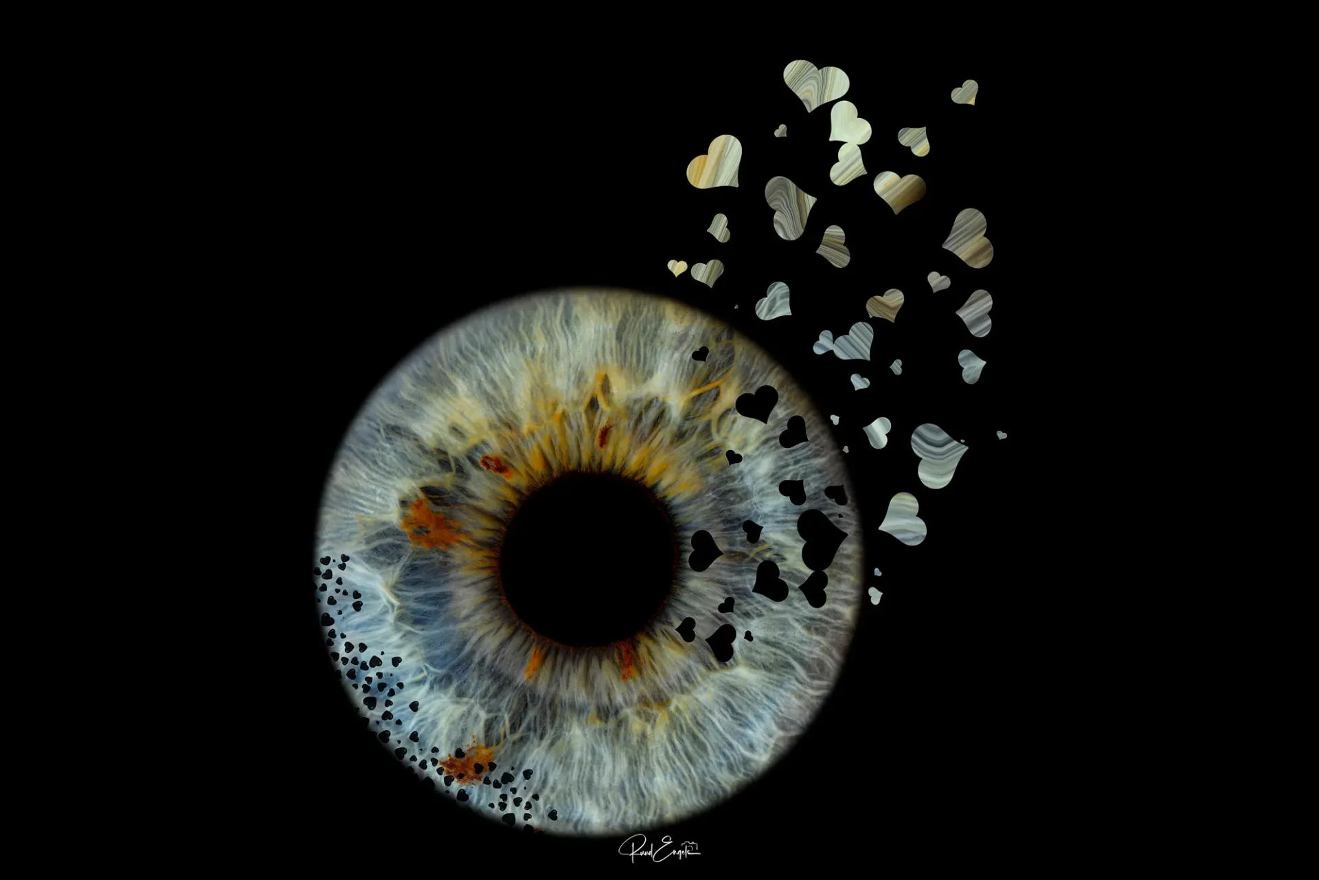 Ruud Engels | Photography | Hearts